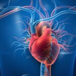 Understanding the Different Types of Heart Disease