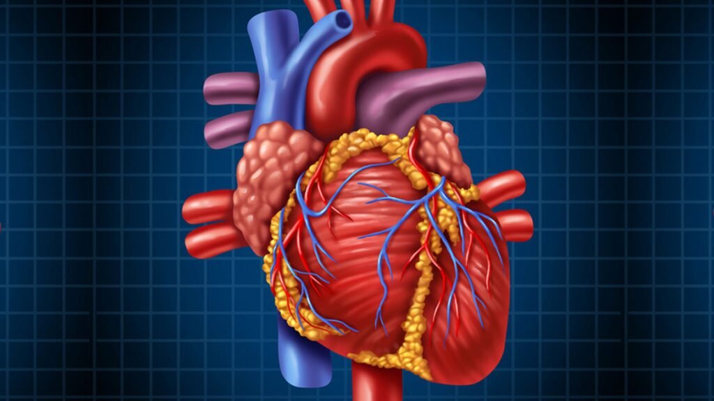 Understanding the Different Types of Heart Disease